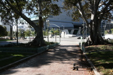 Enlarge photo 65