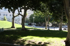 Enlarge photo 67