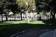 Enlarge photo 68