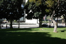 Enlarge photo 70