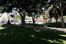 Enlarge photo 71