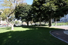 Enlarge photo 74