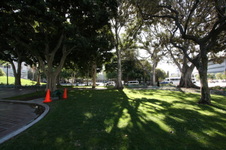 Enlarge photo 75