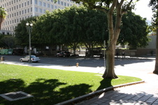 Enlarge photo 76