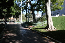 Enlarge photo 79