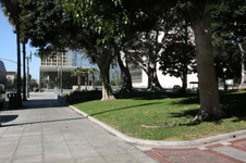 Enlarge photo 81