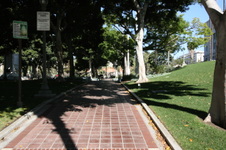 Enlarge photo 82