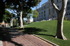 Enlarge photo 83