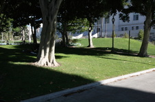 Enlarge photo 85