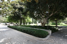 Enlarge photo 22