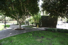 Enlarge photo 29
