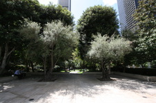 Enlarge photo 59