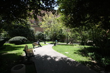 Enlarge photo 62