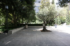 Enlarge photo 63
