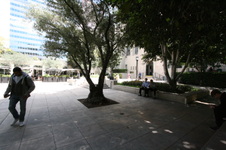 Enlarge photo 64