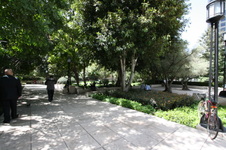 Enlarge photo 66