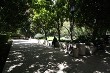 Enlarge photo 71