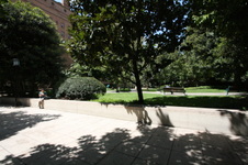 Enlarge photo 72