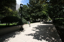 Enlarge photo 73