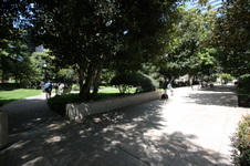 Enlarge photo 76