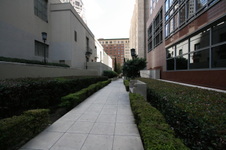 Enlarge photo 85