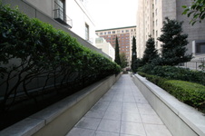 Enlarge photo 87