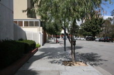Enlarge photo 24