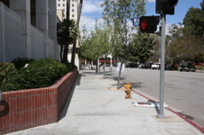 Enlarge photo 28