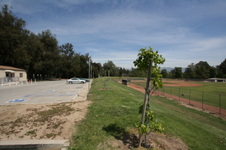 Enlarge photo 2