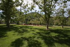 Enlarge photo 19