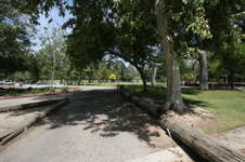 Enlarge photo 24