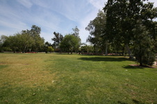 Enlarge photo 33