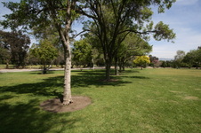 Enlarge photo 34