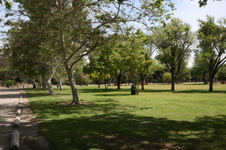 Enlarge photo 40