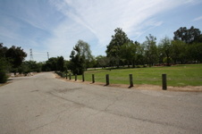 Enlarge photo 50