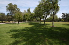 Enlarge photo 52