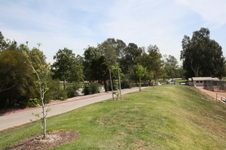 Enlarge photo 57
