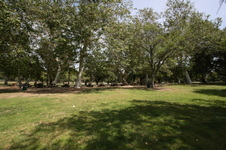 Enlarge photo 36