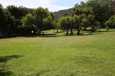 Enlarge photo 38