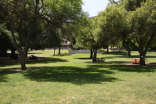 Enlarge photo 39