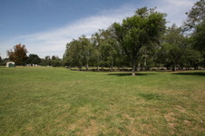 Enlarge photo 41