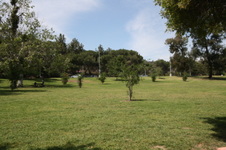 Enlarge photo 42
