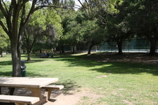 Enlarge photo 44