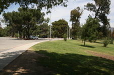 Enlarge photo 45