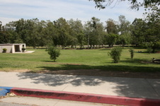 Enlarge photo 46