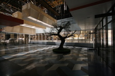 Enlarge photo 25
