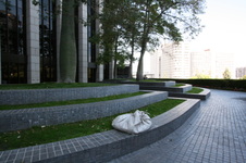 Enlarge photo 41