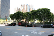 Enlarge photo 44