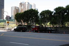 Enlarge photo 46