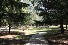 Enlarge photo 8